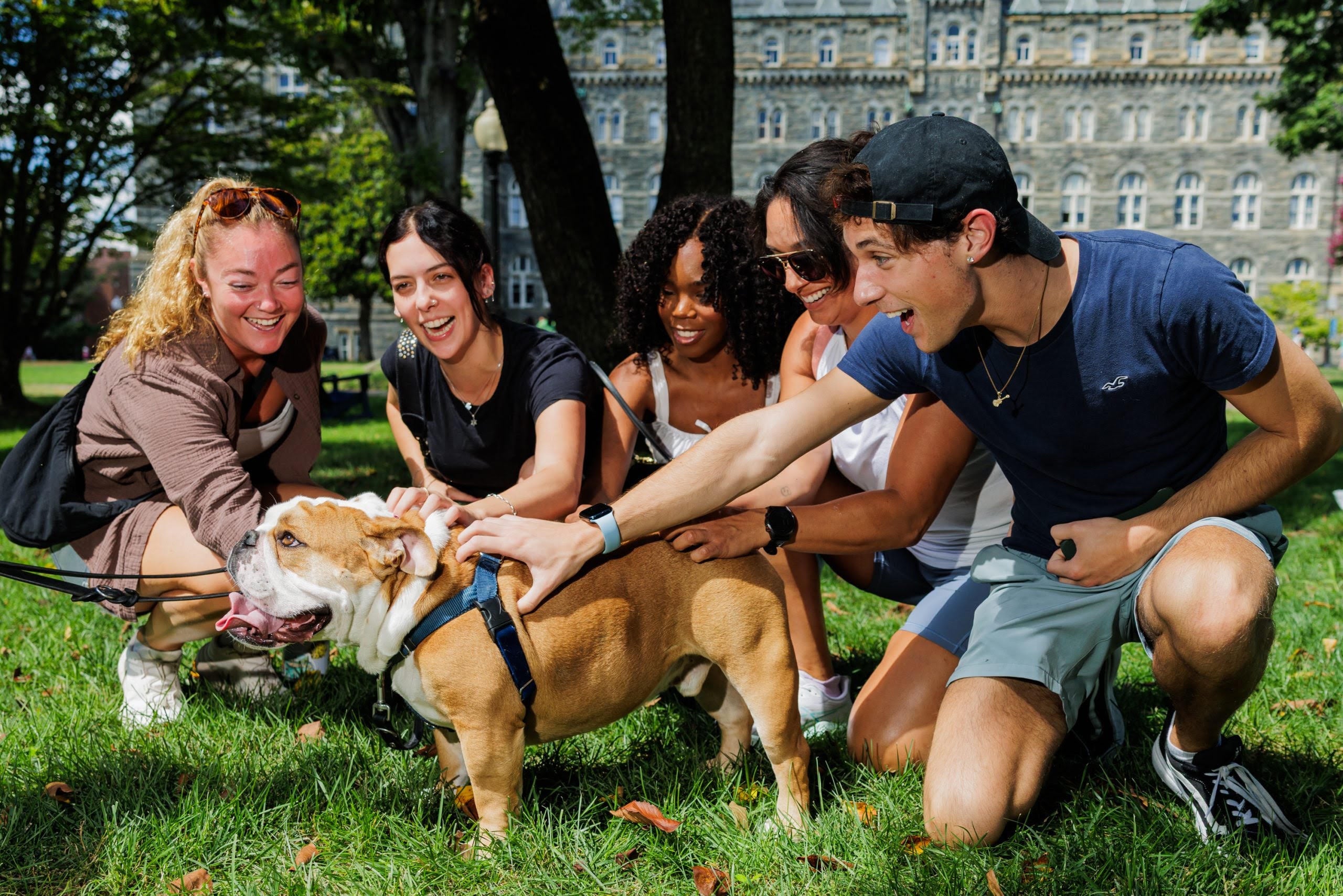 Students pet Jack the Bulldog on the lawn in front of Healy Hall.